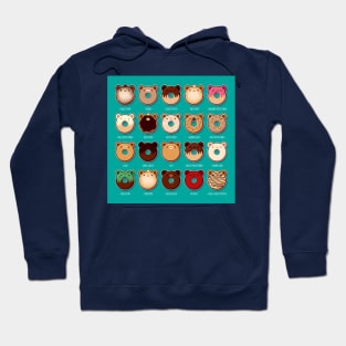 Bear Donut Flavors Hoodie